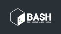 Essential Bash Commands